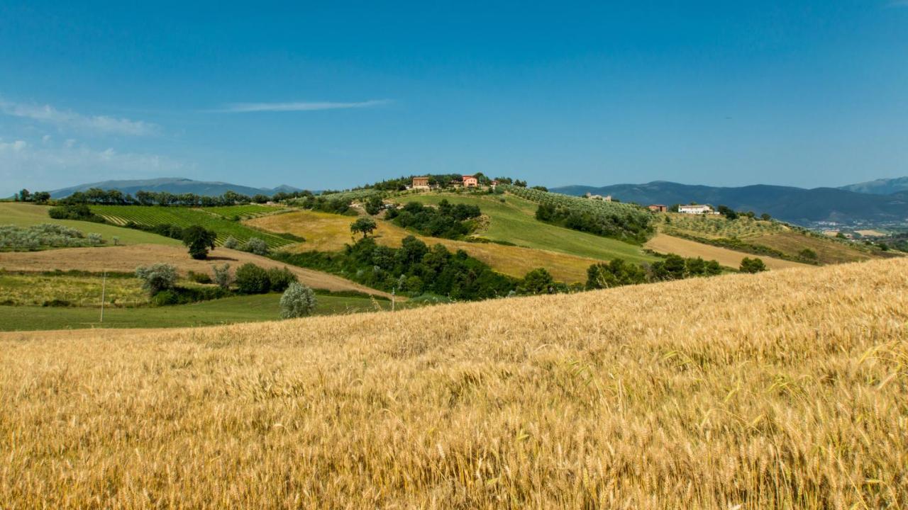 Agriturismo Rivoli Spoleto Zewnętrze zdjęcie